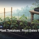 Fostoria News Seasonal guide image showing tomato seedlings in a garden with a frost date thermometer.